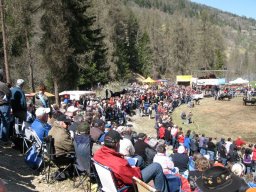 KuhkampfMission 2011