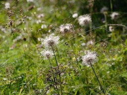 Ogando Fotodesign